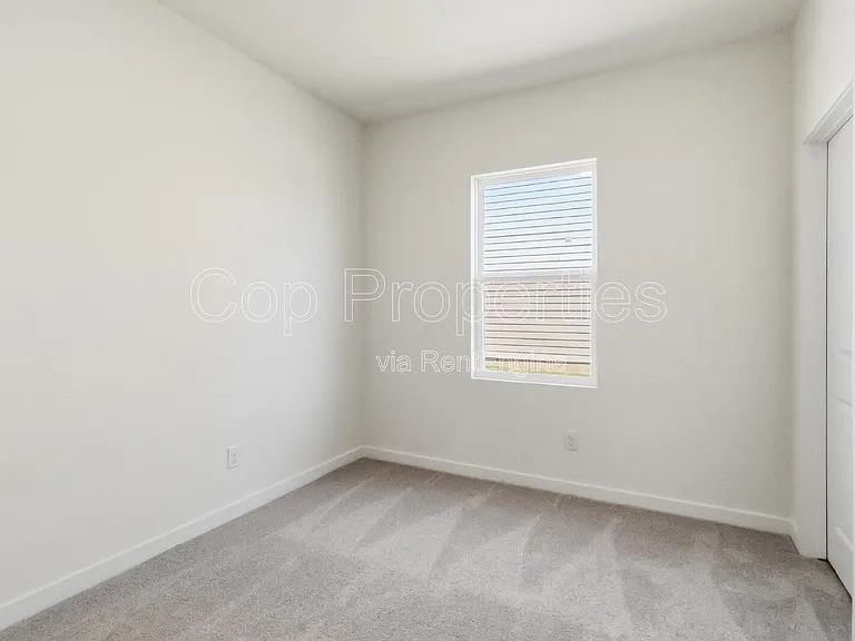 10219 Pine River Dr — Photo 28