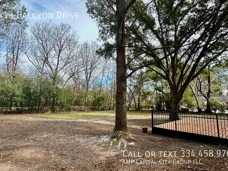 6413 Halcyon Dr — Photo 22