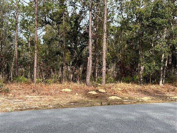 3rd image of 4024 W Bonanza Dr