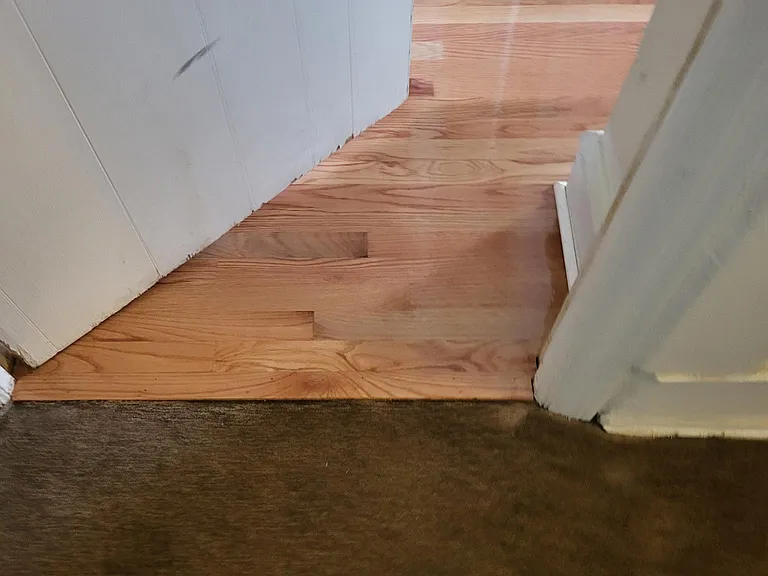 APT entry to common hall NEW WOOD FLOORS