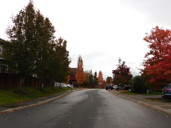 4th image of 15216 84th Ave E