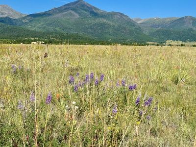 5151 County Road 160, Westcliffe, CO, 81252