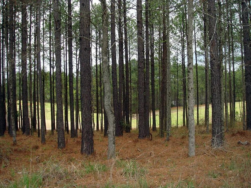 1st image of L12 B2 Mulberry Lane