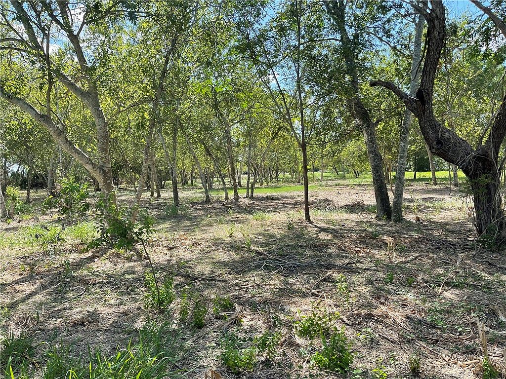 0 Highway 281 St, Alice, TX 78332 MLS 423799 Zillow