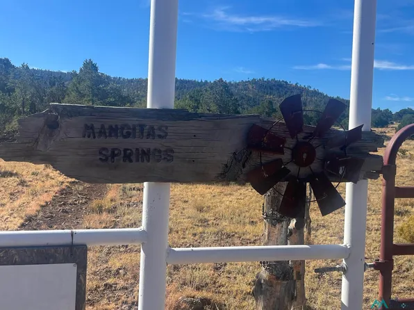 Forest Dr #19, Silver City, NM 88061