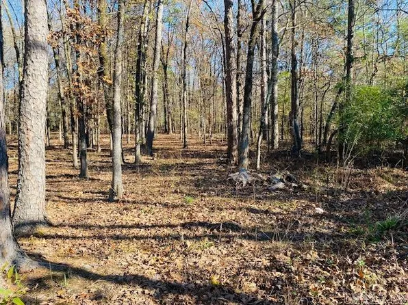 Locust St, Mena, AR 71953