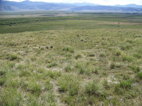 1327 Michigan Hill Road, Jefferson, CO 80456