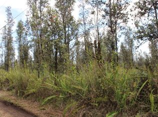 Ooaa Road Rd #6-LOT 4290, Mountain View, HI 96771