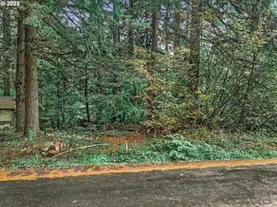 Tax Id #967270, Rhododendron, OR, 97049