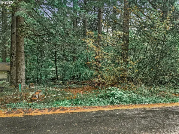 Tax Id #967270, Rhododendron, OR 97049