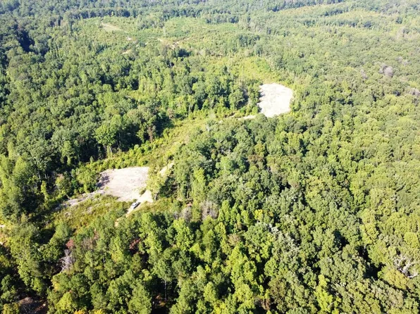 0 County Road 3161, Houston, AL 35572