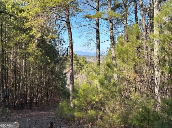 2 W Dry Pond Rd Lot 2, Ranger, GA 30734