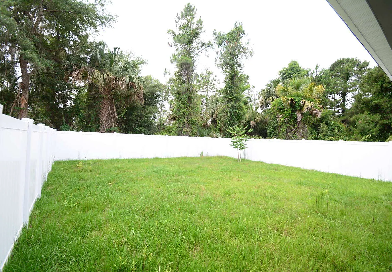 3 bed, 2.0 bath, 1281 sqft, $1,750 — Photo 3