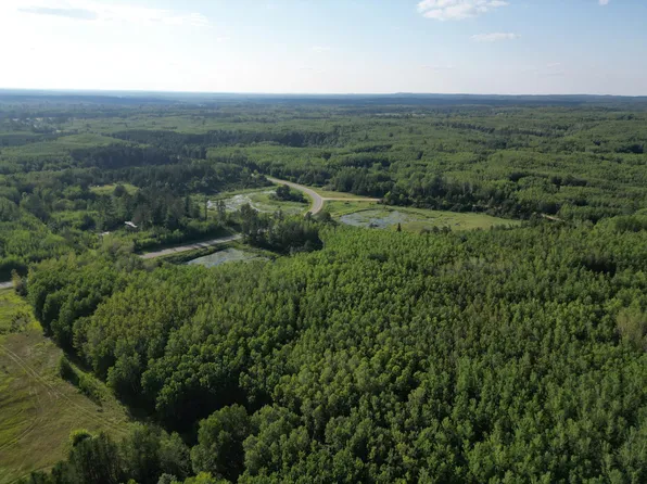 285th Ave, Nevis, MN 56467