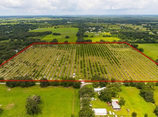 SW CARLTON AVENUE LOT 11, ARCADIA, FL 34266
