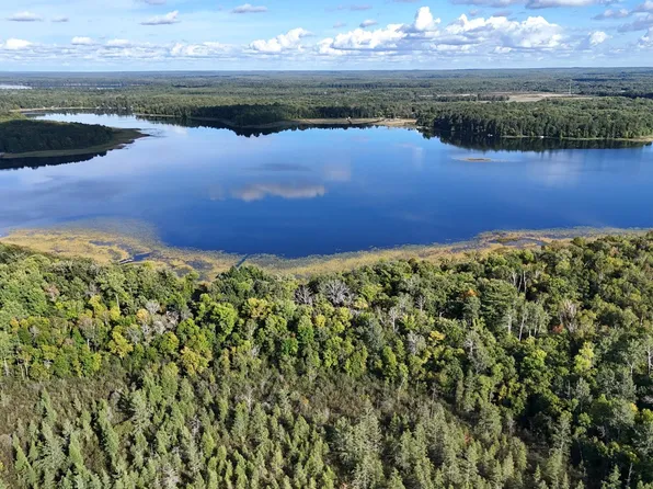 266 Lake Hattie Dr NW, Backus, MN 56435