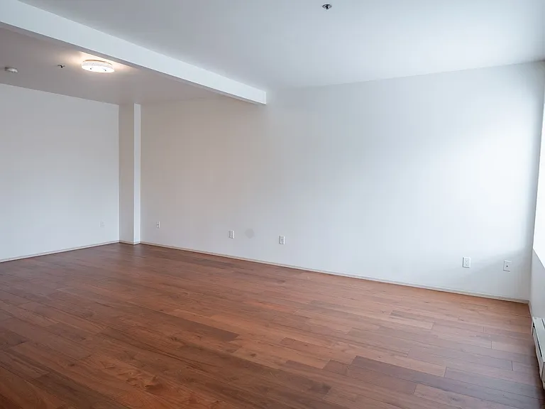 3401 Pacific Ave — Photo 15