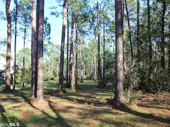 2nd image of 0 Scenic Highway 98 #6