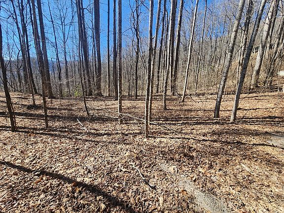 4th image of LOT 6C Crestview Dr