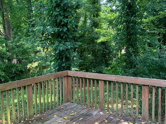 View from back deck
