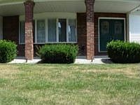 1st image of 1808 Cottonwood Dr