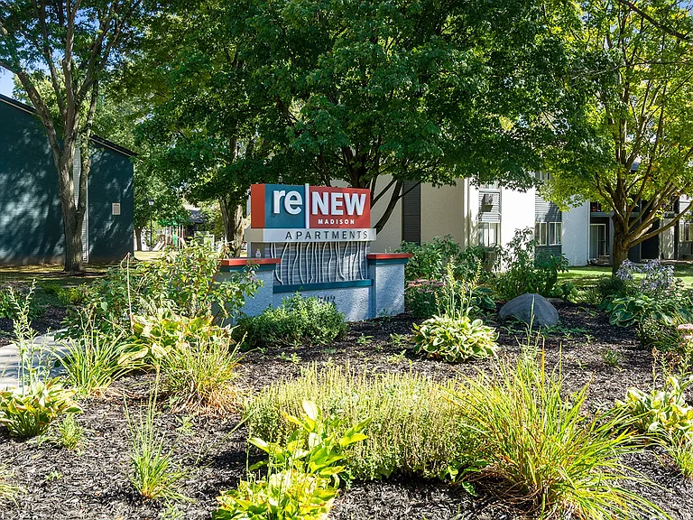 Renew Madison — Photo 17