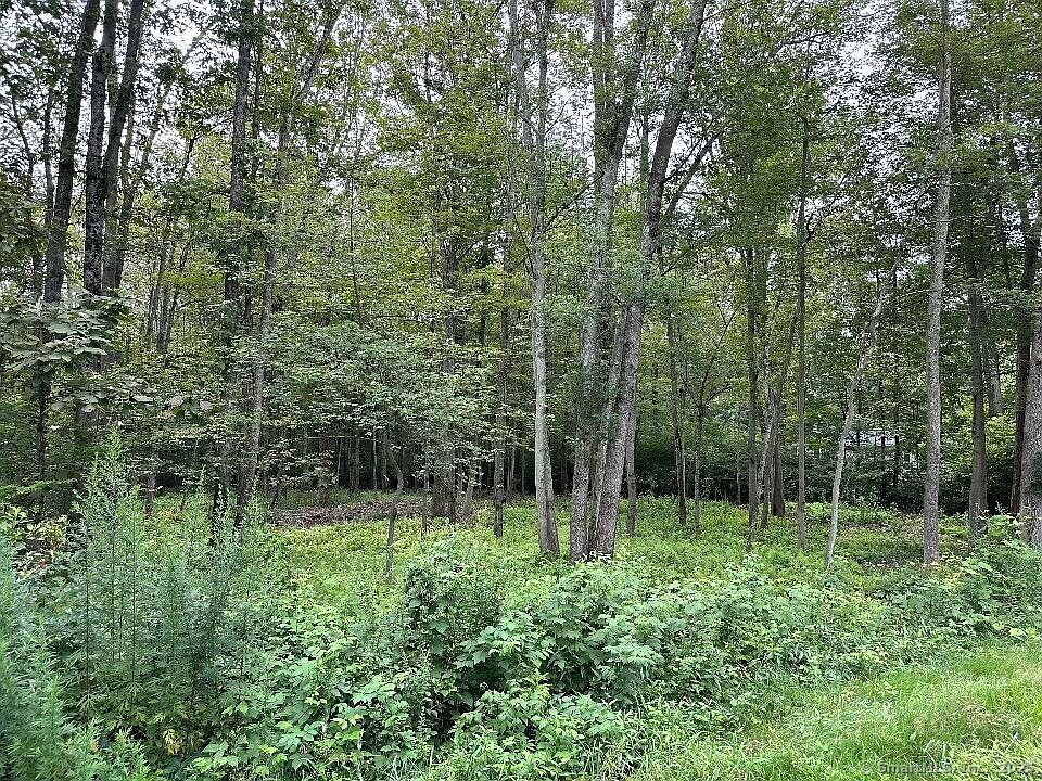 2nd image of 834 Hampton Road