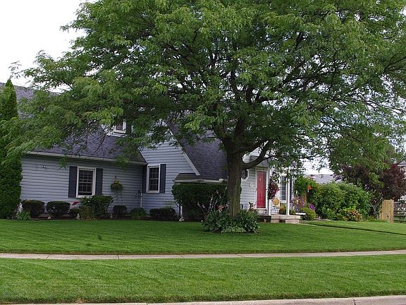 Summer- front yard