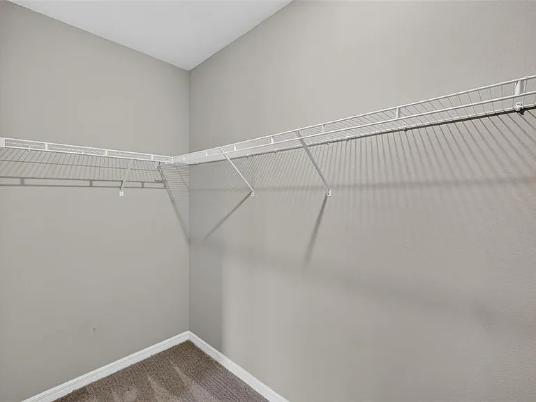 3087 Forrest Plum Ct — Photo 35