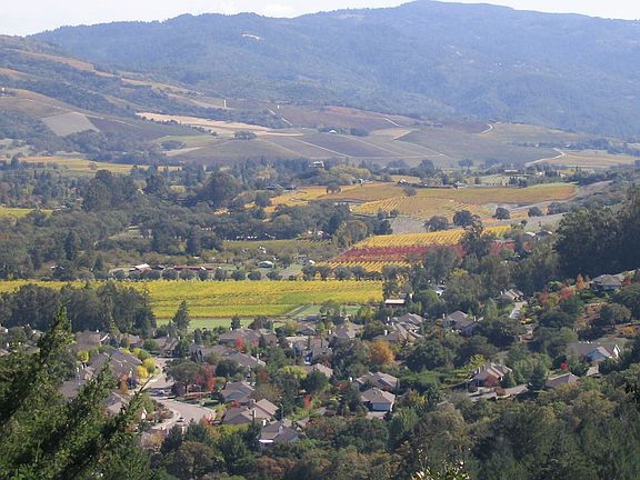 Kenwood Valley , Vineyards and more