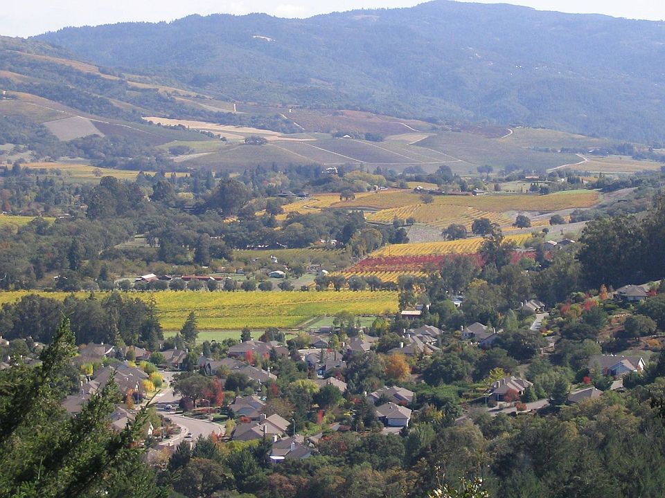 Kenwood Valley , Vineyards and more