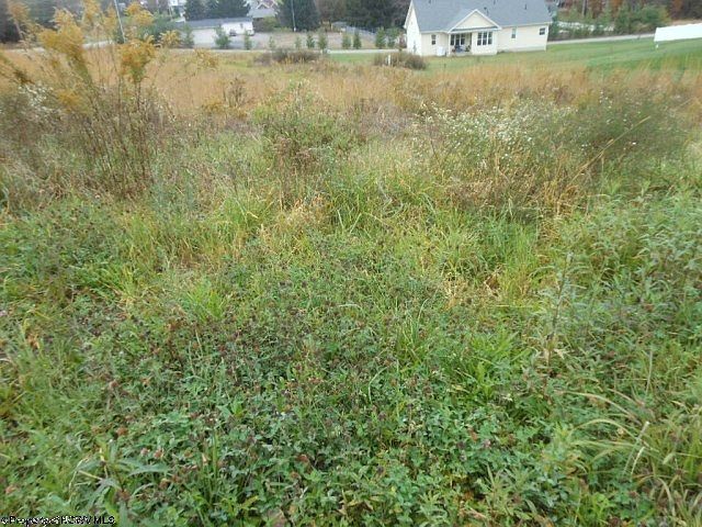 1st image of 8 Brandonville Hts