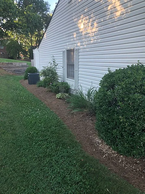 Side Yard