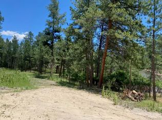 1025 Tenderfoot Drive, Larkspur, CO 80118