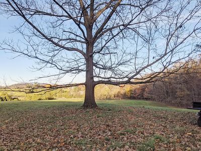Quicks Mill Rd, Verona, VA, 24482