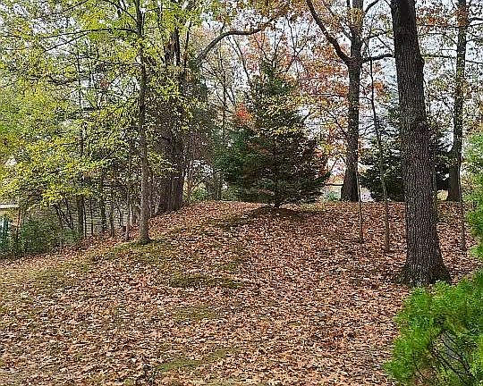 5th image of 2238 Chippingham Pl