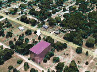 917 Long Ave, Inverness, FL 34453