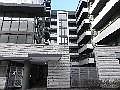 1st image of 670 W Wayman St APT 401