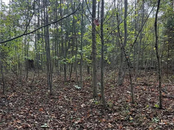 0 Remington Lane Lots #17 & 18, Dunmor, KY 42339