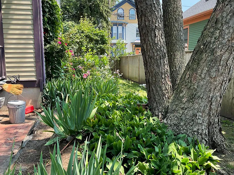 23 Hammond St — Photo 14