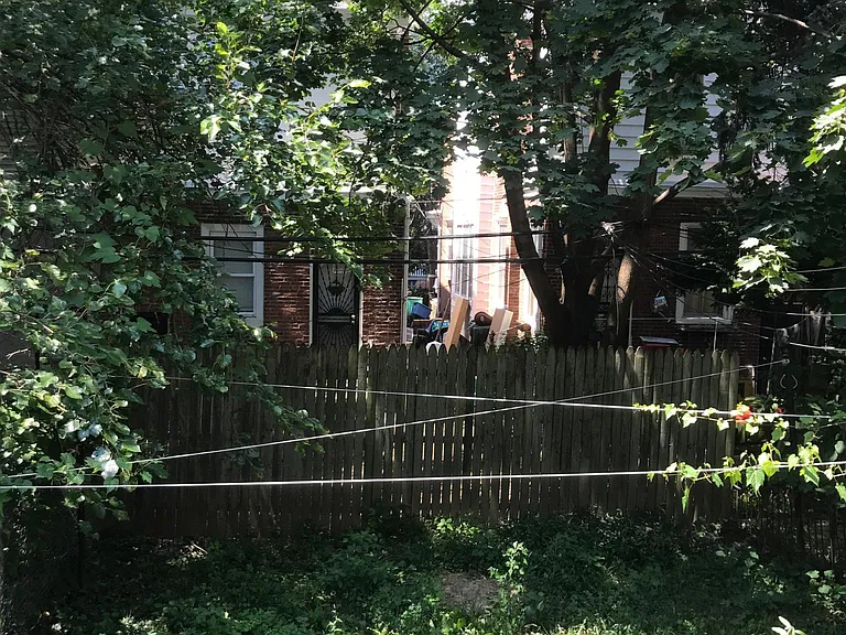 Shared yard area
