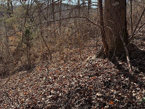 4th image of 0 E Rambling Creek Dr #11