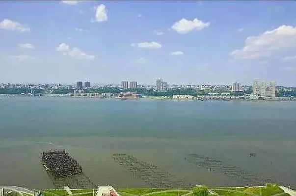 Rented by Nest Seekers International | media 25