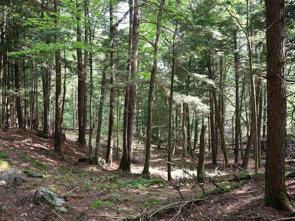 1st image of 0 Glen Athol Rd