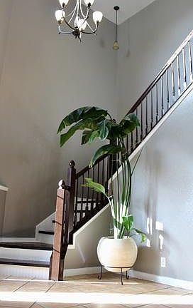 3rd image of 3102 Soledad Ln