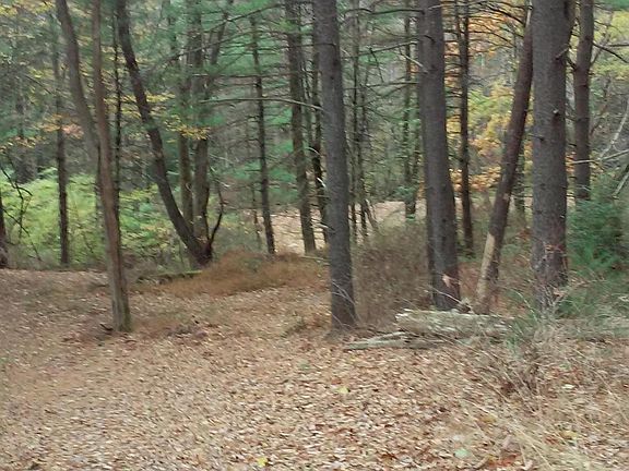 5th image of Route 447