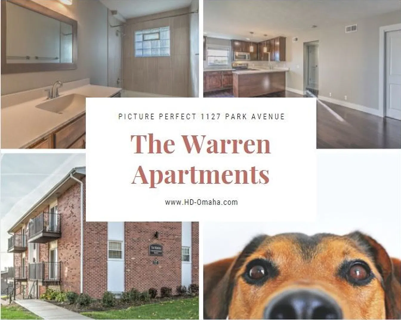 The Warren — Photo 3