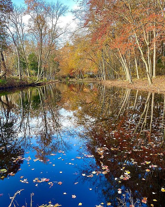 Lake on property 