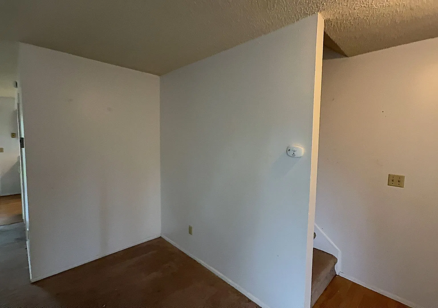 BrownF — Photo 2