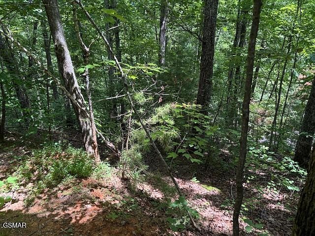 1st image of 1302 Balsam Cir Lot 1302
